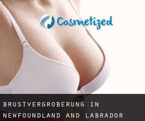 Brustvergrößerung in Newfoundland and Labrador