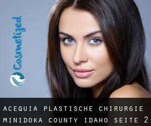 Acequia plastische chirurgie (Minidoka County, Idaho) - Seite 2