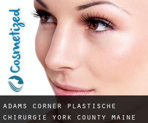 Adams Corner plastische chirurgie (York County, Maine)