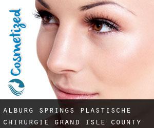 Alburg Springs plastische chirurgie (Grand Isle County, Vermont)