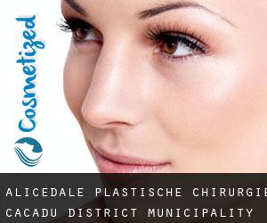 Alicedale plastische chirurgie (Cacadu District Municipality, Eastern Cape)