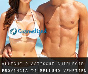 Alleghe plastische chirurgie (Provincia di Belluno, Venetien)