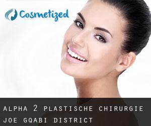 Alpha (2) plastische chirurgie (Joe Gqabi District Municipality, Eastern Cape)