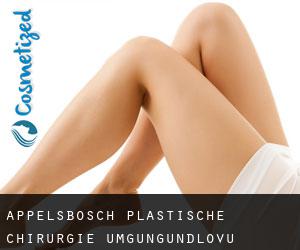 Appelsbosch plastische chirurgie (uMgungundlovu District Municipality, KwaZulu-Natal)
