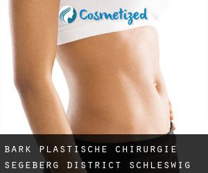 Bark plastische chirurgie (Segeberg District, Schleswig-Holstein)