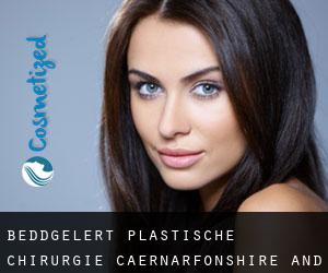 Beddgelert plastische chirurgie (Caernarfonshire and Merionethshire, Wales)