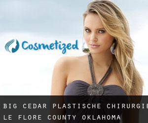 Big Cedar plastische chirurgie (Le Flore County, Oklahoma)