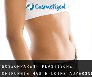 Bosbonparent plastische chirurgie (Haute-Loire, Auvergne)