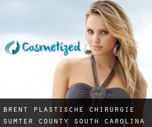 Brent plastische chirurgie (Sumter County, South Carolina)