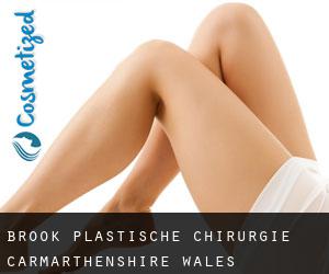 Brook plastische chirurgie (Carmarthenshire, Wales)