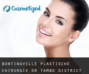 Buntingville plastische chirurgie (OR Tambo District Municipality, Eastern Cape)