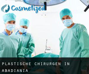 Plastische Chirurgen in Abadiânia
