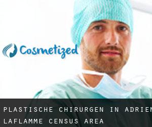 Plastische Chirurgen in Adrien-Laflamme (census area)