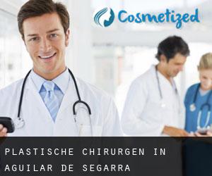 Plastische Chirurgen in Aguilar de Segarra