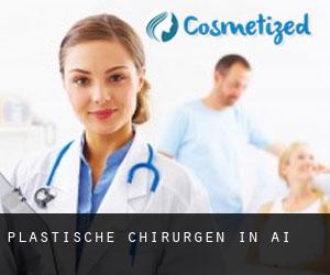 Plastische Chirurgen in Ai Plastische Chirurgen in Ai