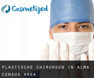 Plastische Chirurgen in Alma (census area)