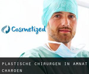 Plastische Chirurgen in Amnat Charoen