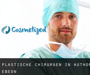 Plastische Chirurgen in Authon-Ébéon