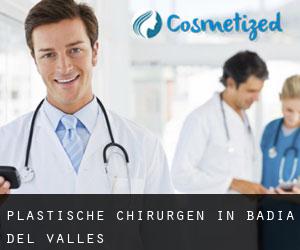 Plastische Chirurgen in Badia del Vallès