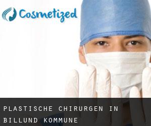 Plastische Chirurgen in Billund Kommune