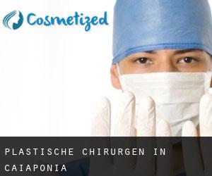 Plastische Chirurgen in Caiapônia
