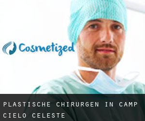 Plastische Chirurgen in Camp Cielo Celeste
