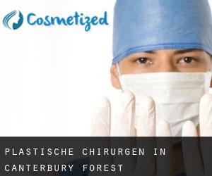 Plastische Chirurgen in Canterbury Forest