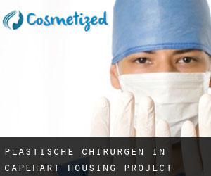 Plastische Chirurgen in Capehart Housing Project