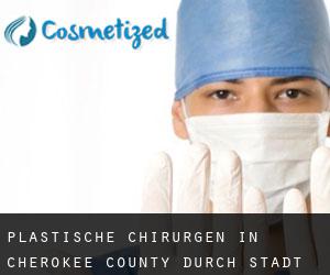 Plastische Chirurgen in Cherokee County durch stadt - Seite 2