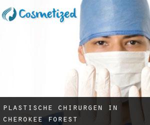 Plastische Chirurgen in Cherokee Forest