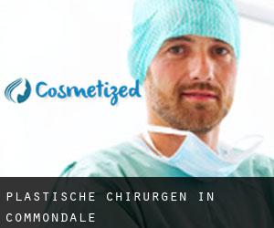 Plastische Chirurgen in Commondale