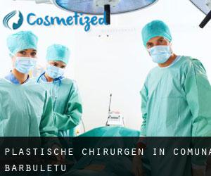 Plastische Chirurgen in Comuna Bărbuleţu