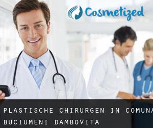 Plastische Chirurgen in Comuna Buciumeni (Dâmboviţa)