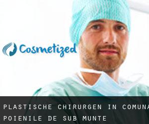 Plastische Chirurgen in Comuna Poienile de sub Munte
