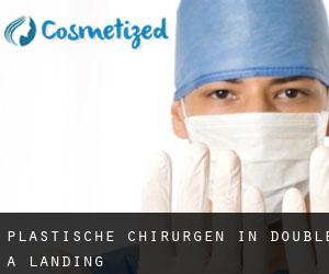 Plastische Chirurgen in Double A Landing