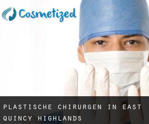 Plastische Chirurgen in East Quincy Highlands