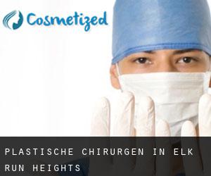 Plastische Chirurgen in Elk Run Heights