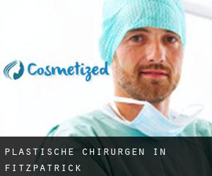 Plastische Chirurgen in Fitzpatrick