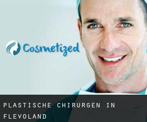 Plastische Chirurgen in Flevoland