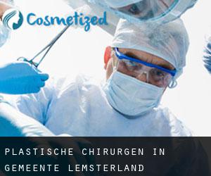 Plastische Chirurgen in Gemeente Lemsterland