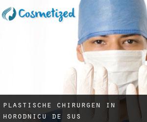 Plastische Chirurgen in Horodnicu de Sus