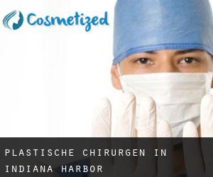 Plastische Chirurgen in Indiana Harbor