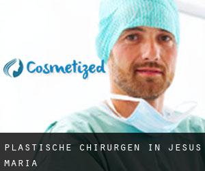 Plastische Chirurgen in Jesús María