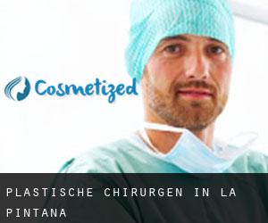 Plastische Chirurgen in La Pintana