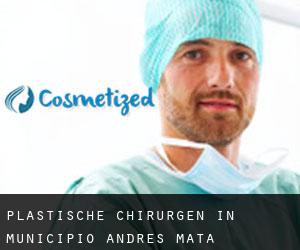 Plastische Chirurgen in Municipio Andrés Mata