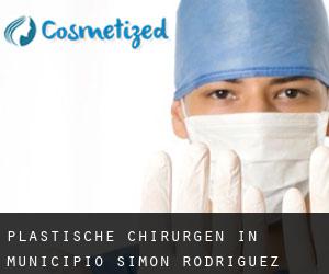 Plastische Chirurgen in Municipio Simón Rodríguez