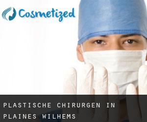 Plastische Chirurgen in Plaines Wilhems Plastische Chirurgen in Plaines Wilhems