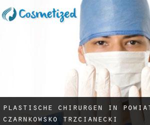 Plastische Chirurgen in Powiat czarnkowsko-trzcianecki