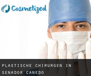 Plastische Chirurgen in Senador Canedo