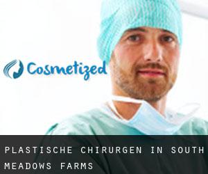 Plastische Chirurgen in South Meadows Farms